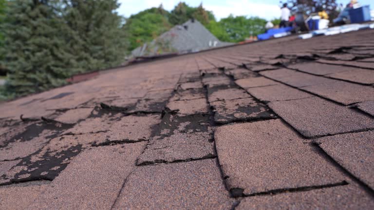 Best Storm Damage Roof Repair  in Kersey, CO